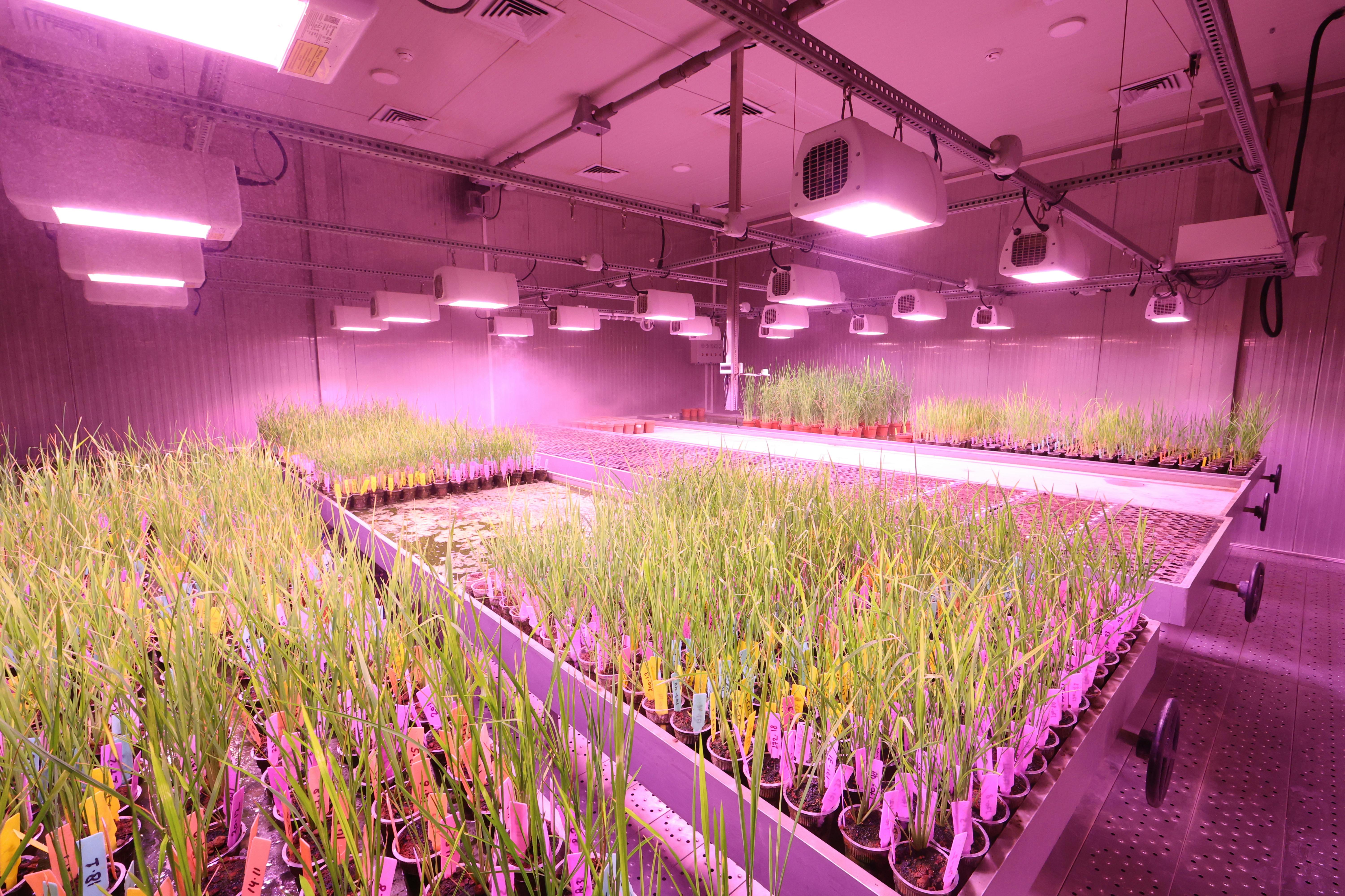 Modern Agrochemical Lab Research