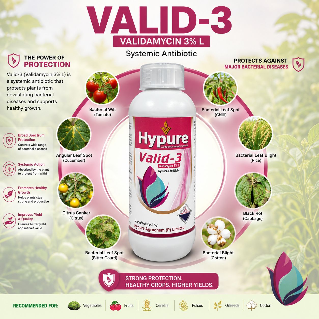 Valid-3